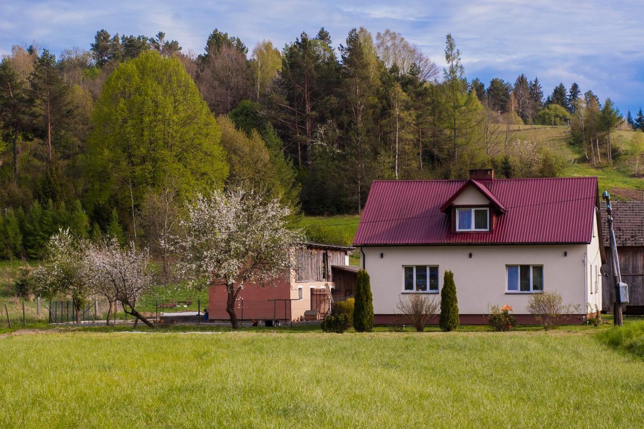 U Jadzi Pogorze Przemyskie Bircza Luaran gambar
